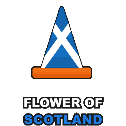 Flower of Scotland cone